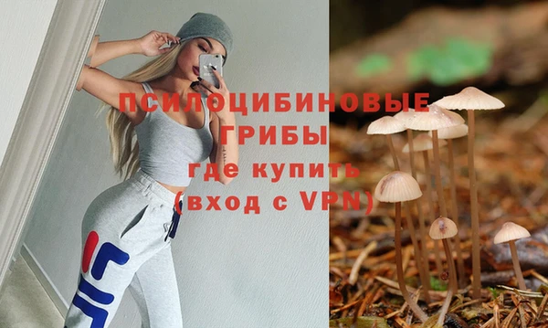 apvp Алзамай