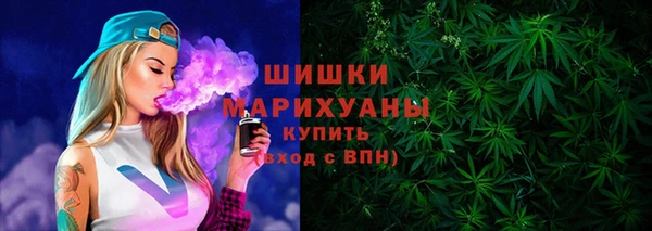 apvp Алзамай