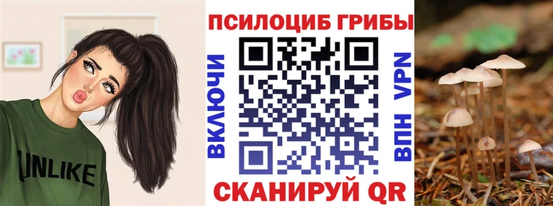 где продают наркотики Липки Псилоцибиновые грибы Psilocybe